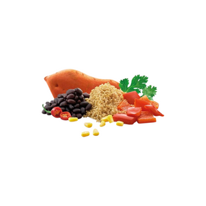 Adventure Food Quinoa à la Mexicana gevriesdroogde vegetarische quinoamaaltijd met bonen en mais