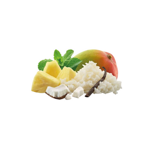 Adventure Food Tropical Rice Dessert gevriesdroogd rijsttoetje met tropisch fruit voor outdoor