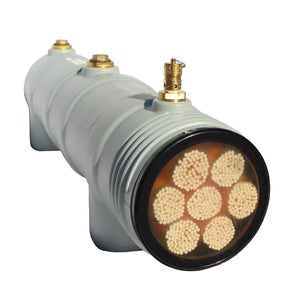 LifeSaver C1 Large Scale Purifier – Waterfilter met hoge capaciteit - Outdoor Food