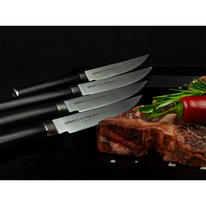 Samura Mo-V Steak Messenset