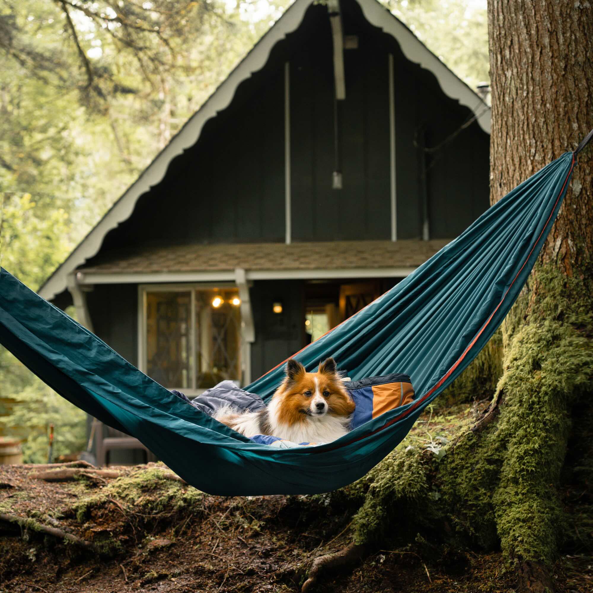 Grand Trunk TrunkTech Hangmat 2-pers - Outdoor Food