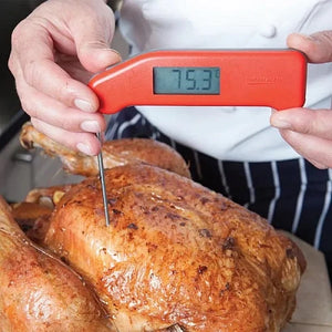 ETI Thermapen Classic Food Thermometer - Outdoor Food