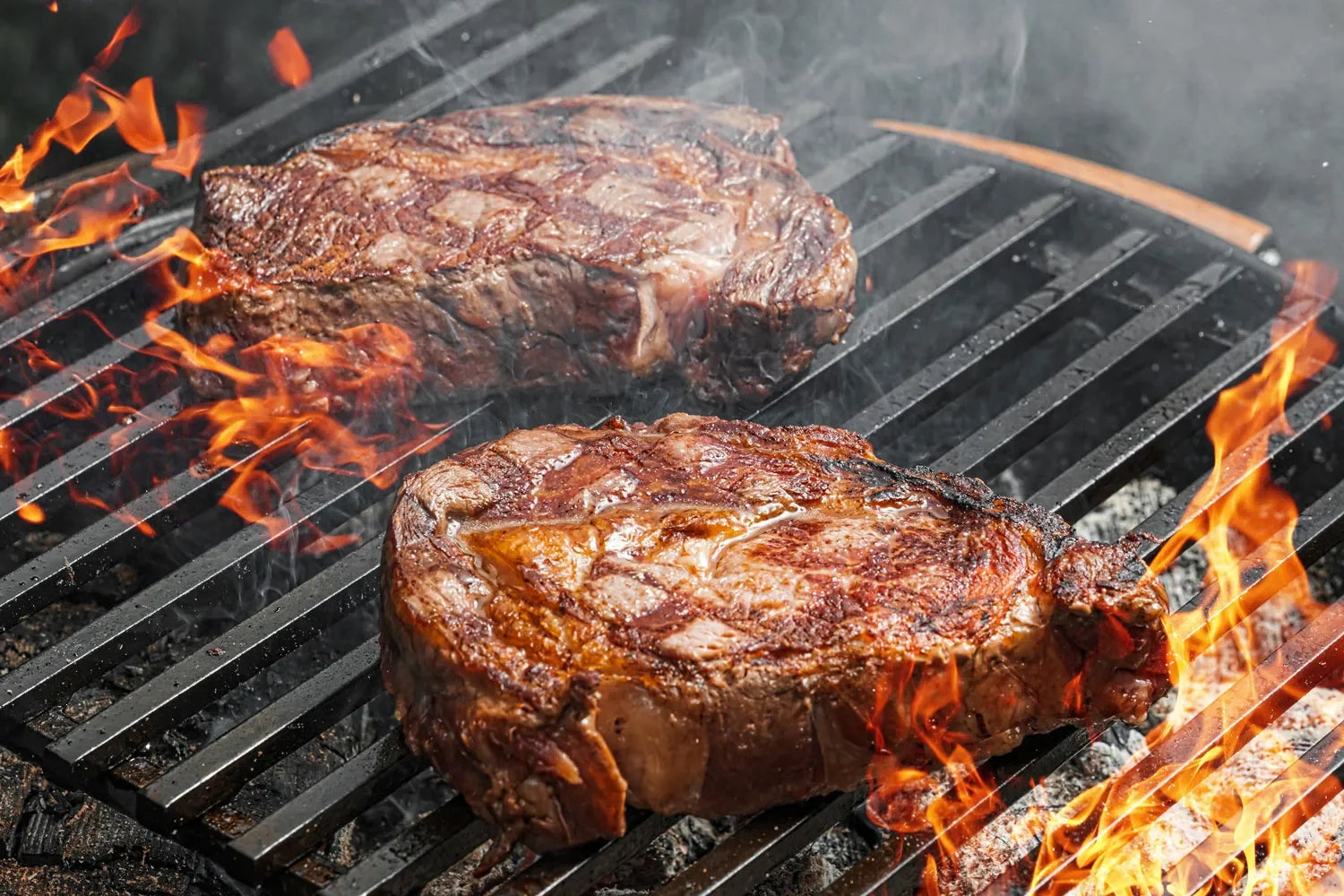 outdoor food steak