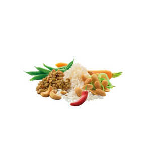 Adventure Food Cashew Nasi gevriesdroogde vegetarische rijstmaaltijd voor hike en kamperen